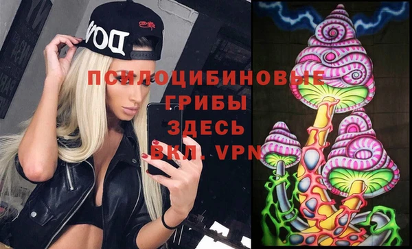 МДПВ Бронницы