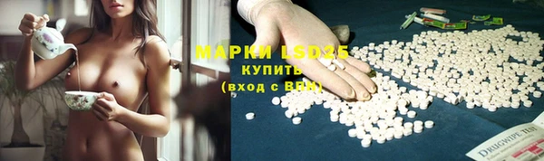 mdpv Богданович