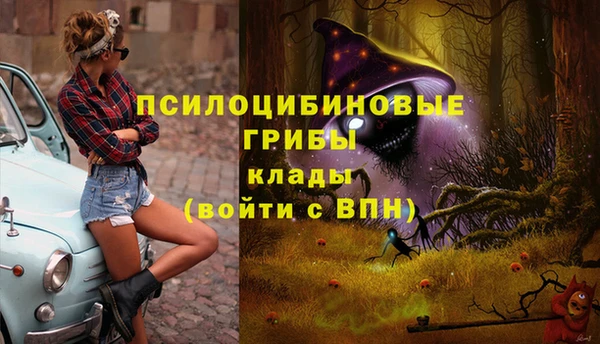 МДПВ Бронницы