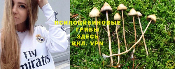 МДПВ Бронницы